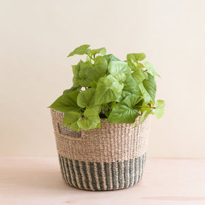 Grey + Natural Tapered Basket - Storage Baskets | LIKHÂ