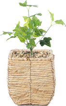 Load image into Gallery viewer, Woven Square Pot Planter

