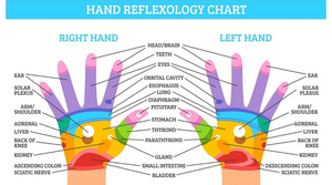 Refurbished Shiatsu Hand Massager
